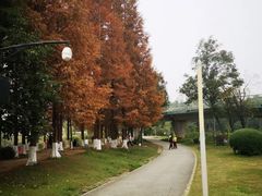 -白鹭湾湿地公园