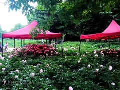 -洛阳市隋唐城遗址植物园