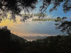 -深圳仙湖植物园