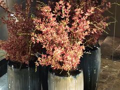 -番茄按摩·影院足道·柔足SPA