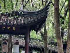 -上海佘山国家森林公园天马山园