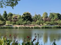 -枫香湖儿童公园