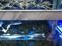 水产区-夜上海(上元大街店)