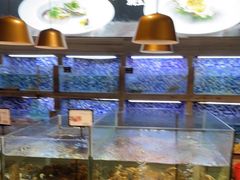 -上座·餐厅(阳光100店)
