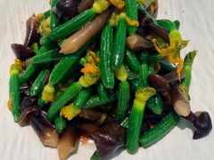 青瓜拌鸡枞菌-大树餐厅(环球港店)