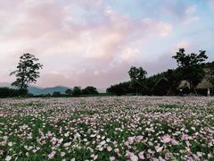 -良渚古城遗址公园