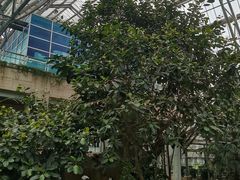 -南山植物园