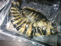 -天府烤鱼(香港中路店)