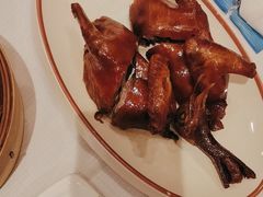 -新雅粤菜馆(南京东路店)