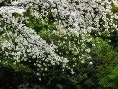 -中国茶叶博物馆(双峰馆区)