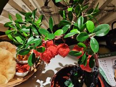 -奔跑吧陕菜·盛世长安(民乐园万达店)