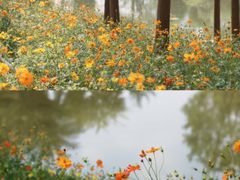 -云溪植物园