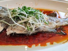 -大东海海鲜酒楼(渔人码头总店)