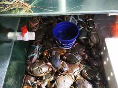 -香港厨房