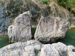 -广州白江湖森林公园