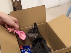 -佳雯宠物医院·皮肤科·内外科(春晓路分院)