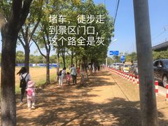 -东湖落雁景区