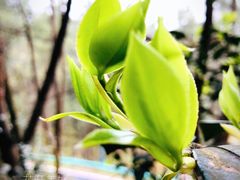 -白鹭湾湿地公园