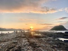 -盐洲岛