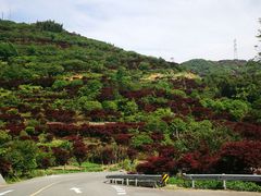 -四明山国家森林公园