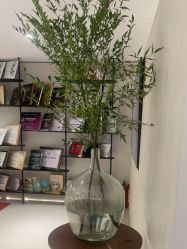 -佳颜轻医美·美学抗衰中心