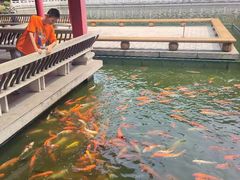 -广东圆玄道观