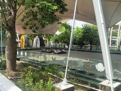 -百万葵园