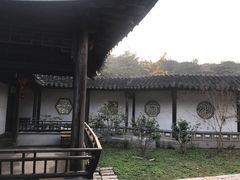 -雨花胜境
