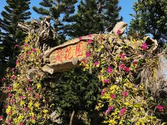 -东莞植物园