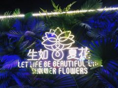 -南京时尚莱迪购物广场(正洪街店)