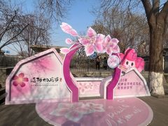 -桃花堤公园