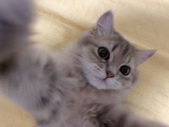 -博特宠物医院24h犬猫全科.骨科·异宠