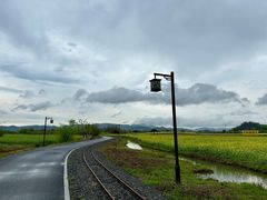 -径山花海