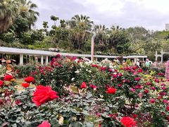 -人民公园(罗湖区)