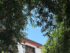 -古树酸奶(八廓南街店)