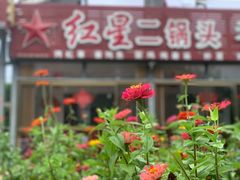 -老李客栈民宿餐厅
