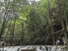 -牛背梁国家森林公园