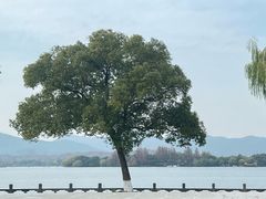 -杭州西湖柳莺里酒店·闻莺厅