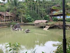 -海南槟榔谷黎苗文化旅游区