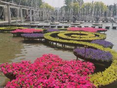 -石家庄市植物园