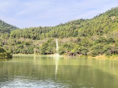 -广州白江湖森林公园