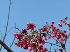 -牛岗山公园
