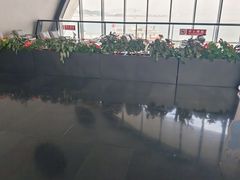 -半升洞码头