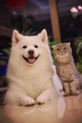 -TWOFACE 双面理发馆