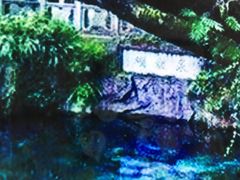 -蝴蝶泉公园