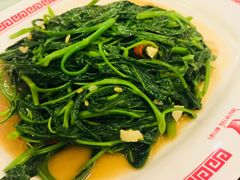 -中国城银都鱼翅酒楼