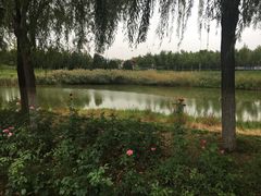-河北省园博园