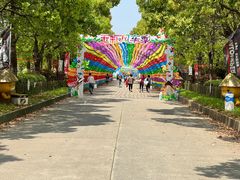 -上海都市菜园