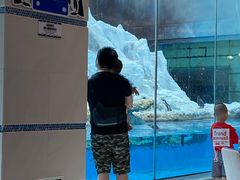 -帝企鹅自助餐厅•儿童岛•真企鹅(长隆企鹅酒店)