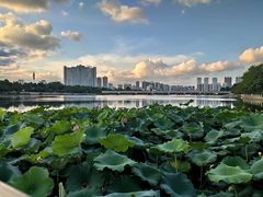 -南湖大桥